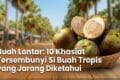 Buah Lontar: 10 Khasiat Tersembunyi Si Buah Tropis yang Jarang Diketahui